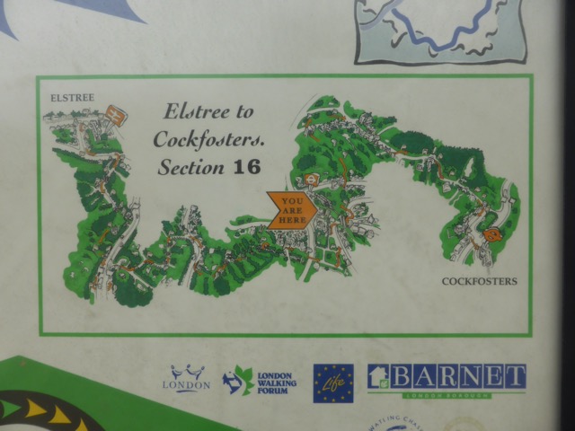 19.8.2017 ( Section 12 )