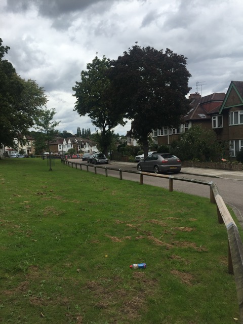 19.8.2017 ( Section 12 )