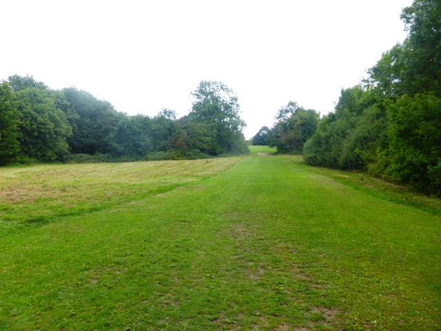 19.8.2017 ( Section 12 )