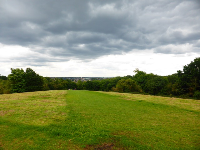 19.8.2017 ( Section 12 )