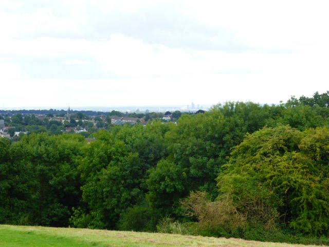 19.8.2017 ( Section 12 )