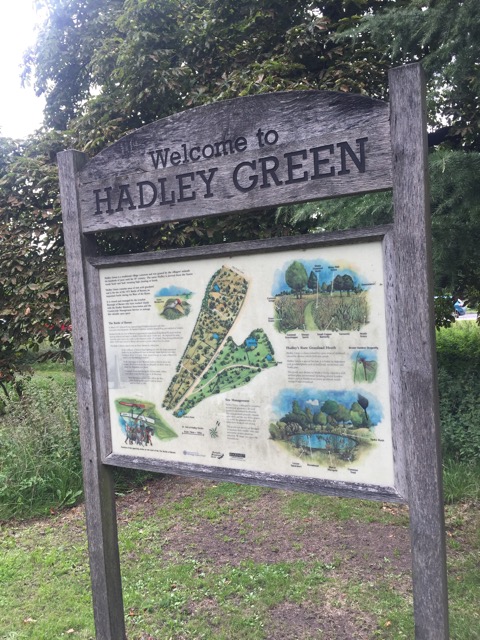 19.8.2017 ( Section 12 )