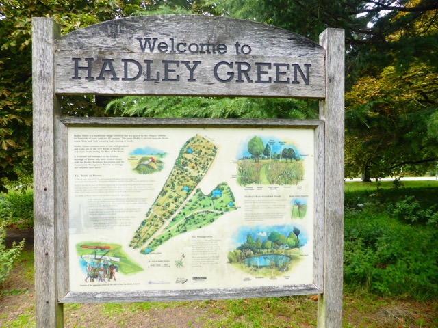 19.8.2017 ( Section 12 )