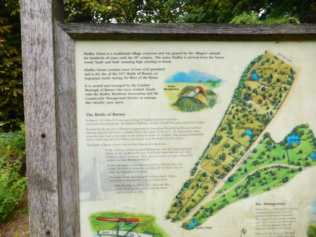 19.8.2017 ( Section 12 )