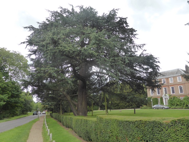 19.8.2017 ( Section 12 )