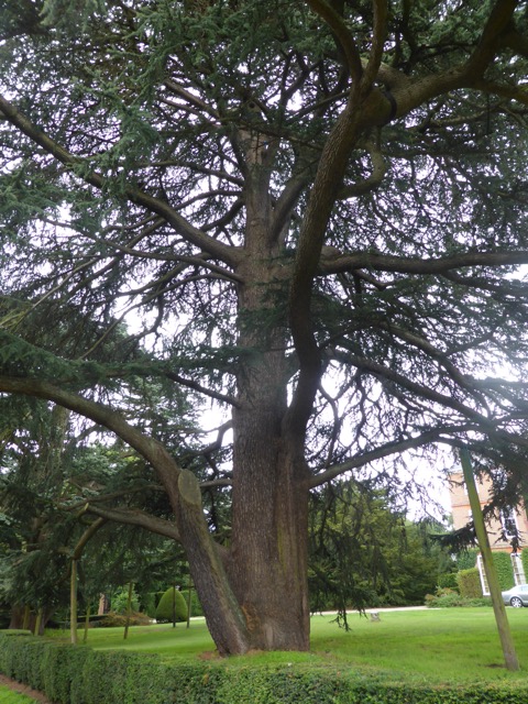 19.8.2017 ( Section 12 )