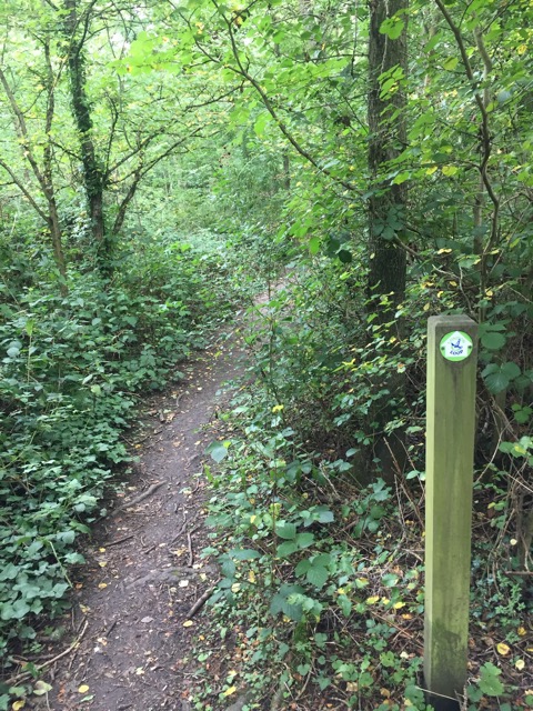 19.8.2017 ( Section 12 )