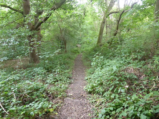 19.8.2017 ( Section 12 )