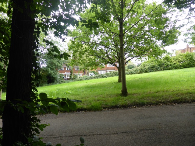 19.8.2017 ( Section 12 )