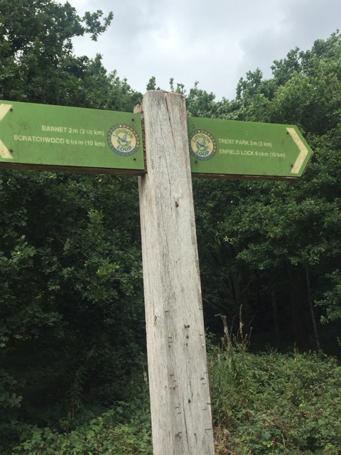 19.8.2017 ( Section 12 )