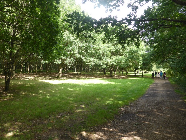 19.8.2017 ( Section 12 )