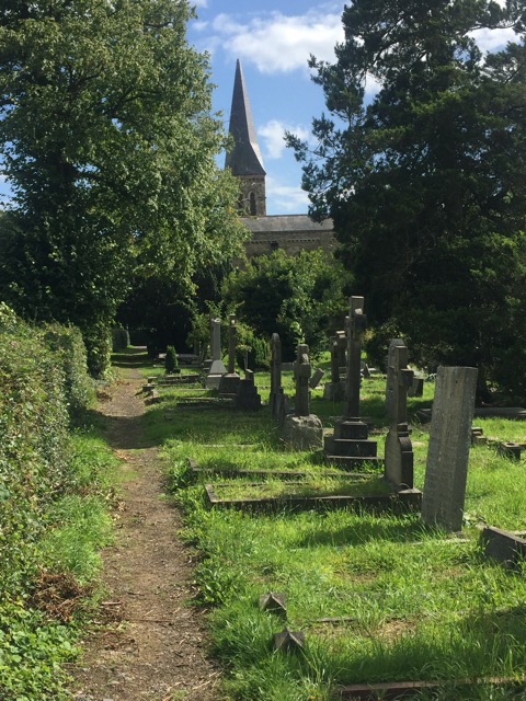 19.8.2017 ( Section 12 )