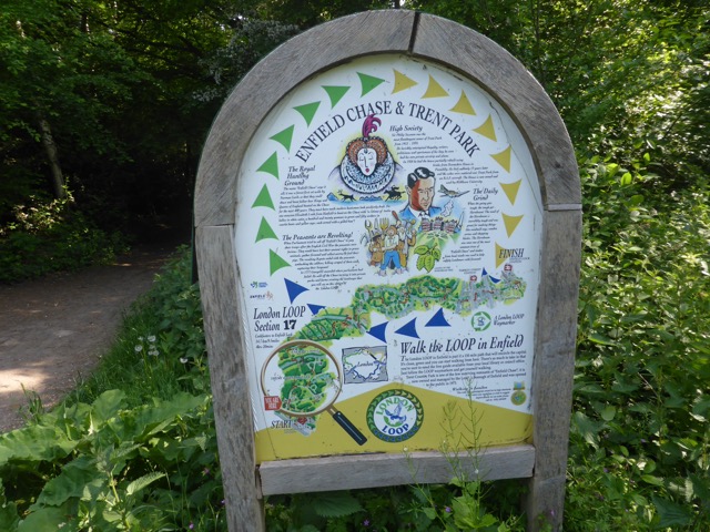 22.5.2018 ( Section 13 )