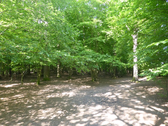 22.5.2018 ( Section 13 )