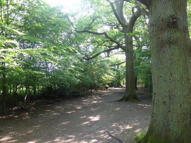 22.5.2018 ( Section 13 )