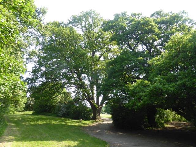 22.5.2018 ( Section 13 )