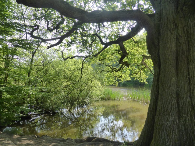 22.5.2018 ( Section 13 )