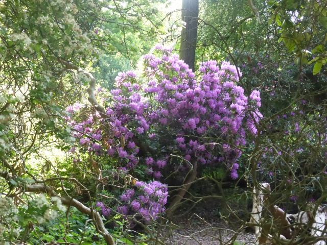 22.5.2018 ( Section 13 )