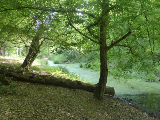 22.5.2018 ( Section 13 )