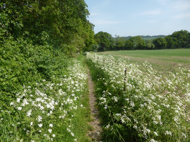 22.5.2018 ( Section 13 )