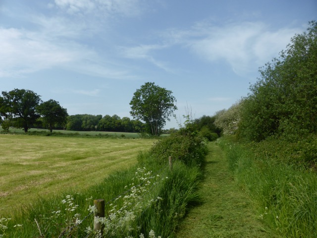 22.5.2018 ( Section 13 )