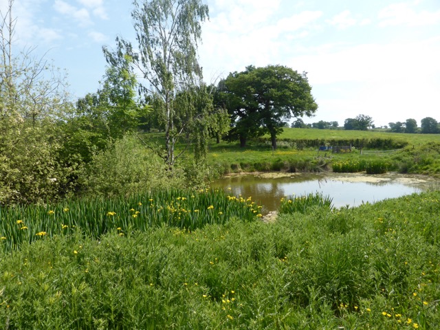 22.5.2018 ( Section 13 )