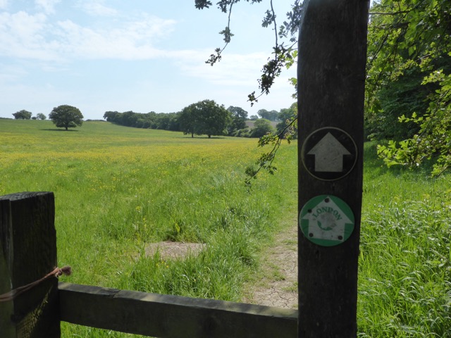 22.5.2018 ( Section 13 )