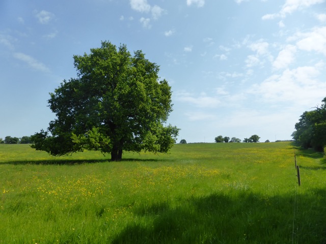 22.5.2018 ( Section 13 )