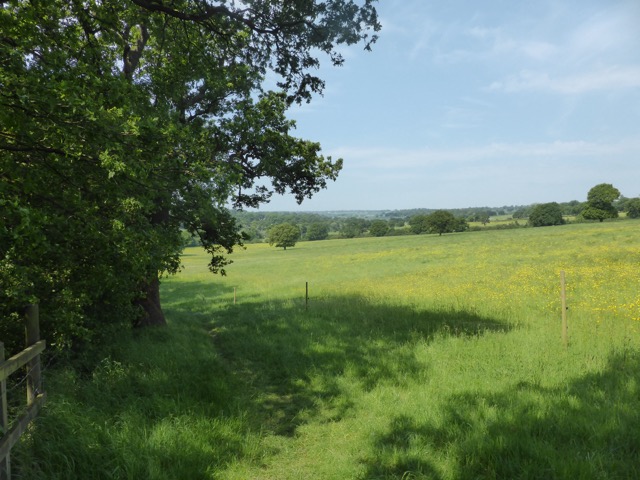 22.5.2018 ( Section 13 )