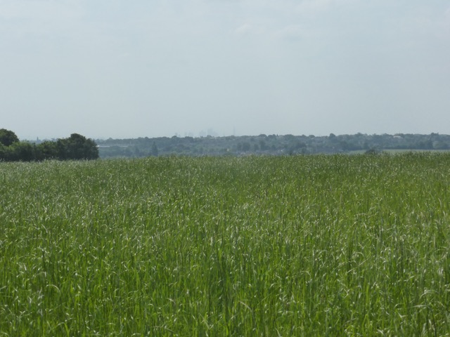 22.5.2018 ( Section 13 )