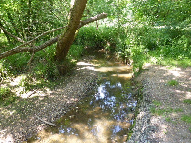 22.5.2018 ( Section 13 )