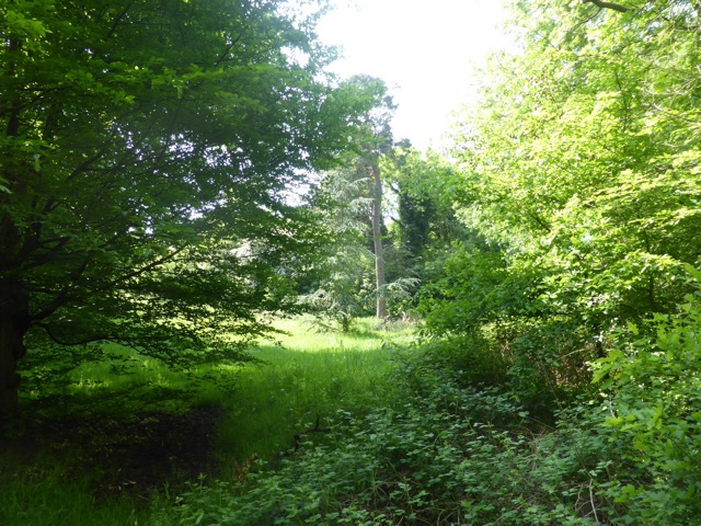 22.5.2018 ( Section 13 )