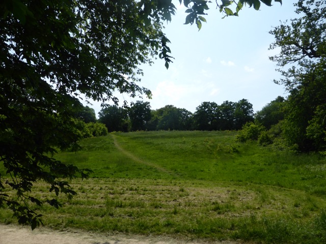 22.5.2018 ( Section 13 )