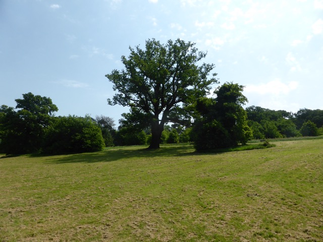 22.5.2018 ( Section 13 )