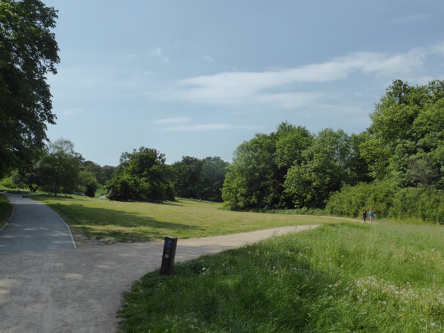 22.5.2018 ( Section 13 )