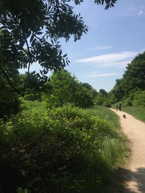 22.5.2018 ( Section 13 )