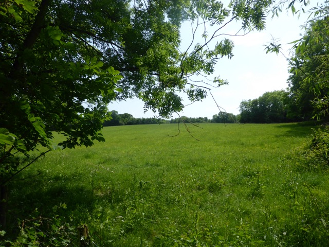 22.5.2018 ( Section 13 )