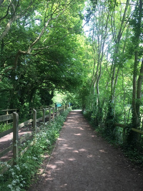 22.5.2018 ( Section 13 )