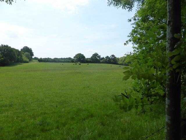 22.5.2018 ( Section 13 )