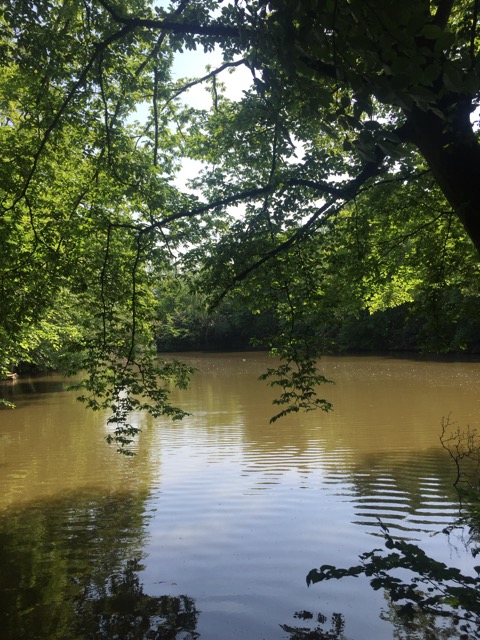 22.5.2018 ( Section 13 )