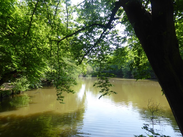 22.5.2018 ( Section 13 )