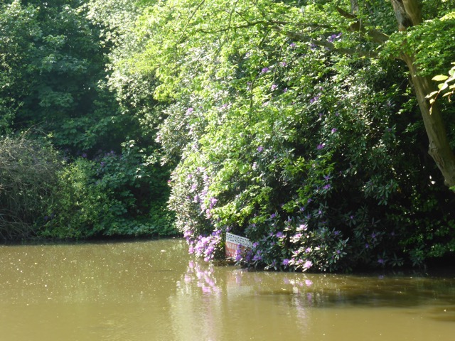 22.5.2018 ( Section 13 )