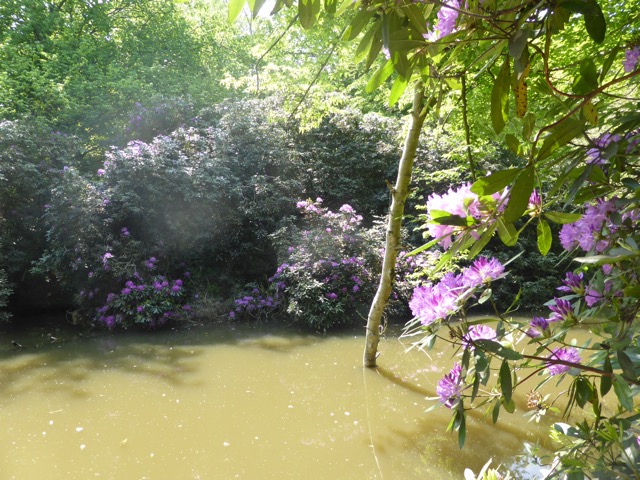 22.5.2018 ( Section 13 )