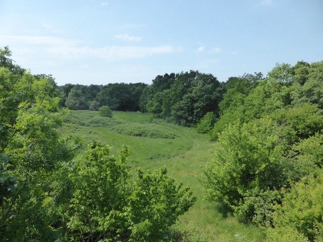 22.5.2018 ( Section 13 )