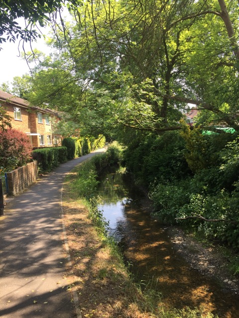 22.5.2018 ( Section 13 )