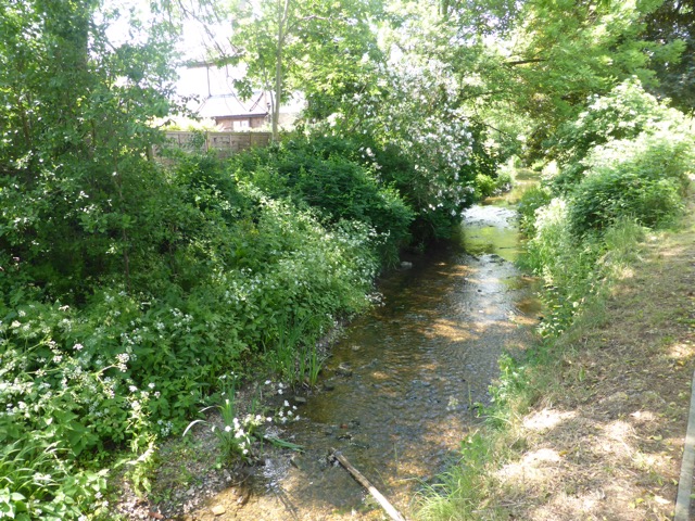 22.5.2018 ( Section 13 )