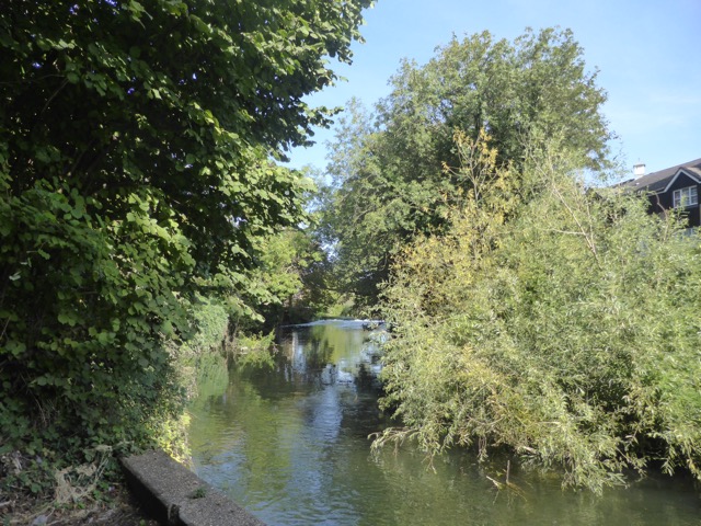 15.9.2018 ( Section 14 )