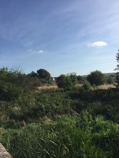 15.9.2018 ( Section 14 )