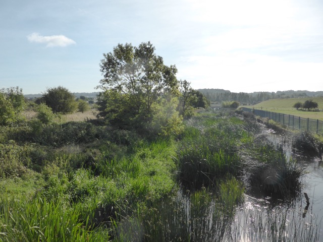 15.9.2018 ( Section 14 )