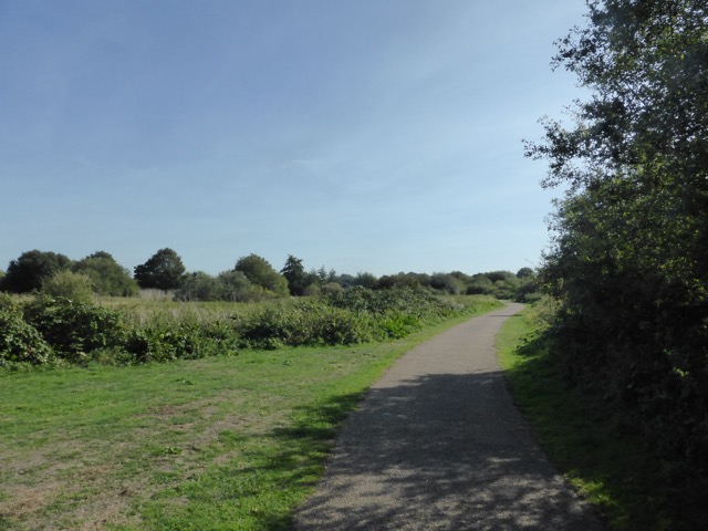 15.9.2018 ( Section 14 )